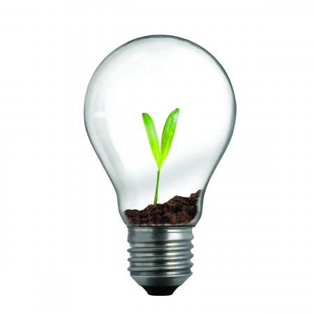 new life in light bulb